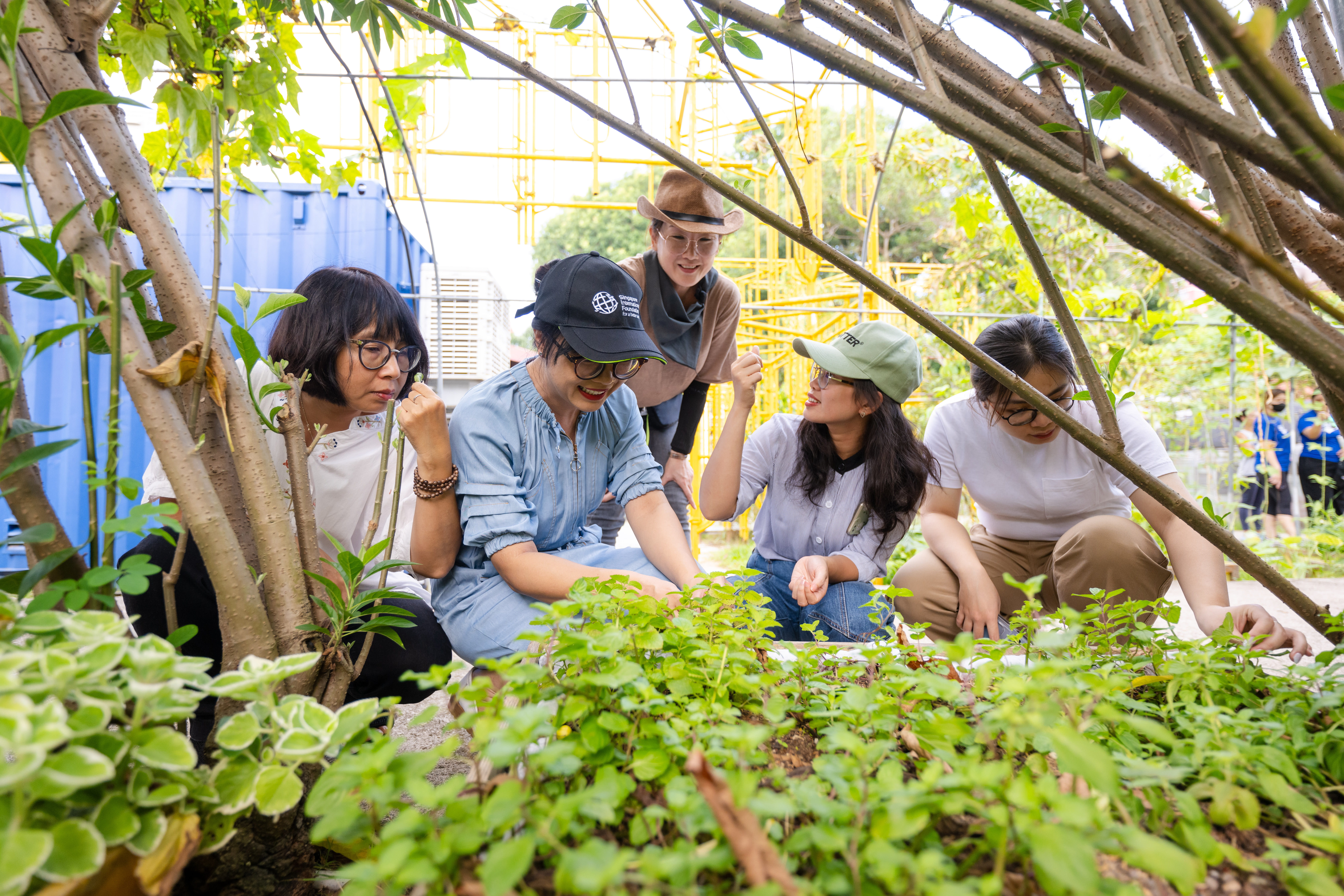 Vietnamese participants on an urban farm tour at City Sprouts